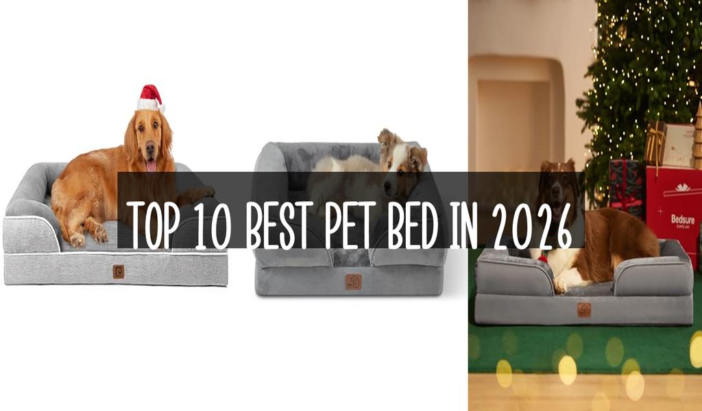 Top 10 Best Pet Bed in 2026